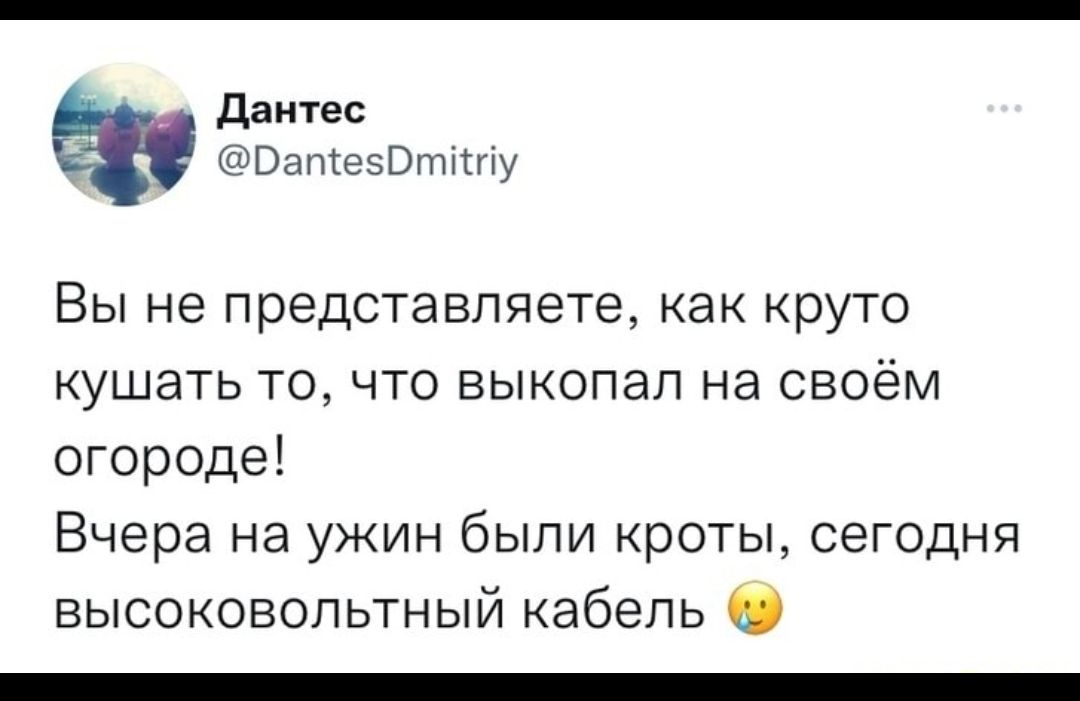 дантес Ватевдтпну Вы не представляете как круто кушать то что выкопал на своём огороде Вчера на ужин были кроты сегодня высоковольтный кабель 0