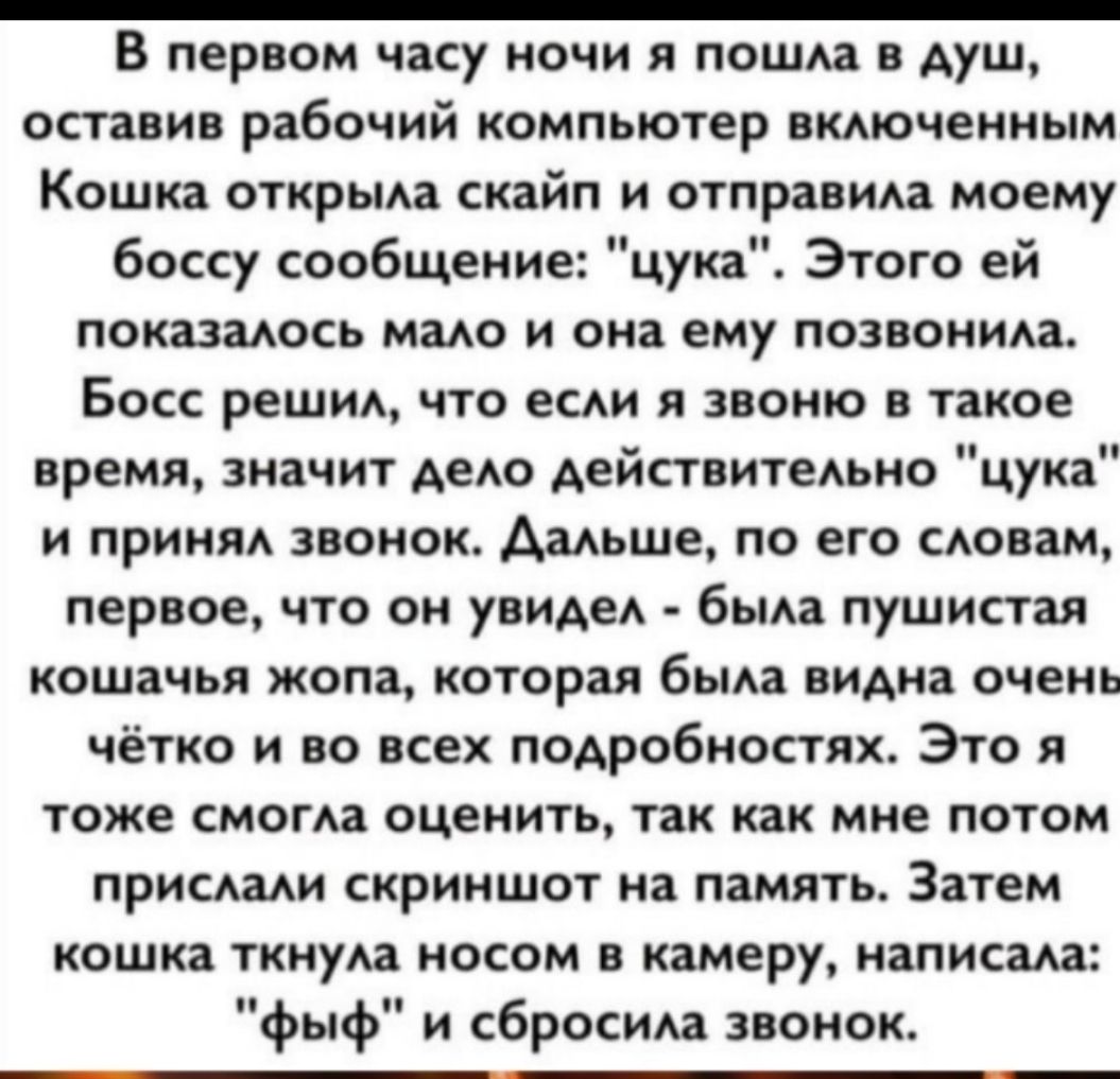 _ В первом часу ночи я пошла в душ оставив рабочий компьютер вкдючеиным Кошка открыв скайп и отправил моему боссу сообщение цука Этого ей покаэмось мадо и оиа ему позвоним Босс решиА что ест звоню в такое время значит дем Аействитедьно цука и прими звоиок дальше по его моим первое что он увиАеА бьма пушистая кошачья жопа которая бьма видна очень чётко и во всех подробностях Это я тоже смога оценит