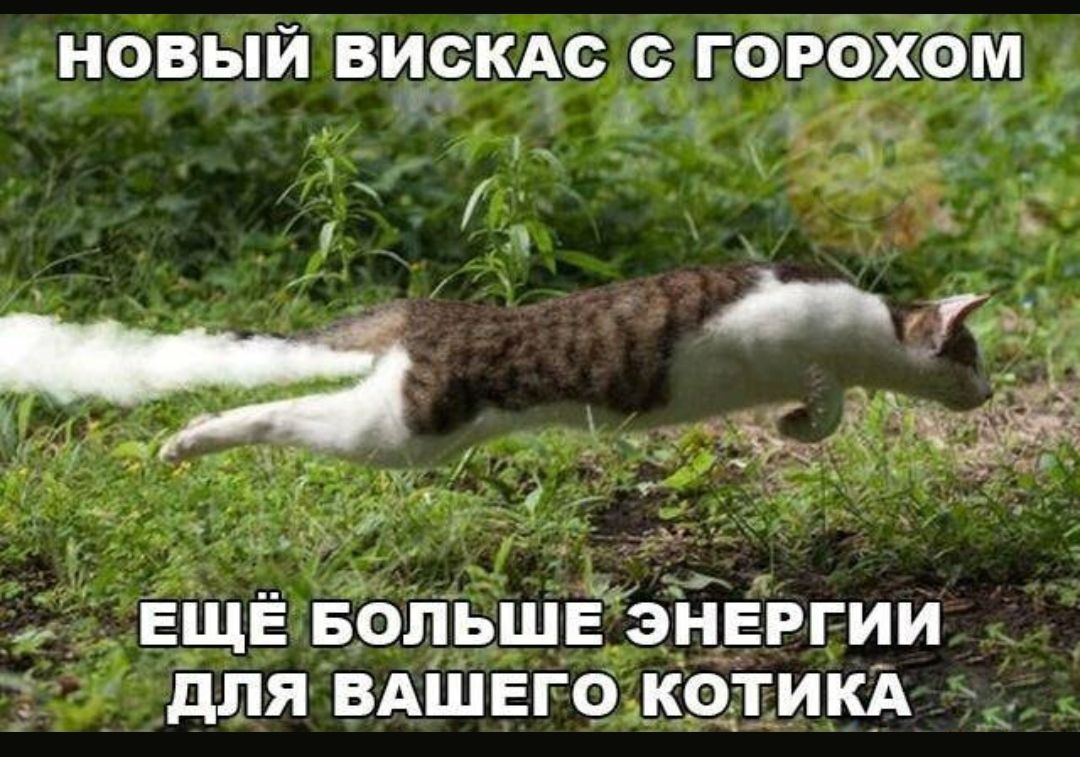 __ новый виски гОрёхём