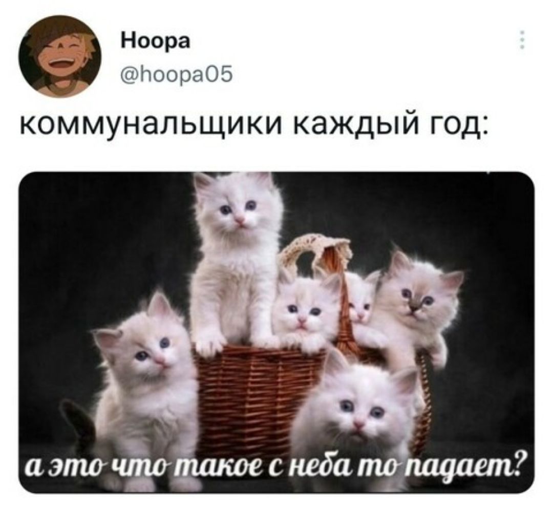 Ноора шошо 1 коммунальщики каждый год