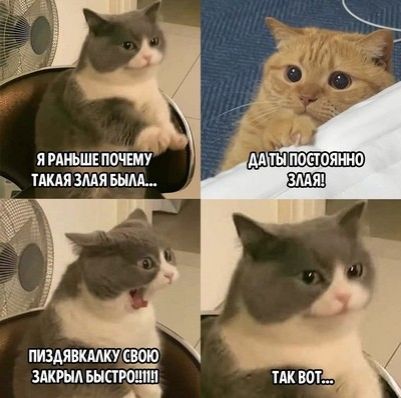 я ищу пдіиу шп ищя вым