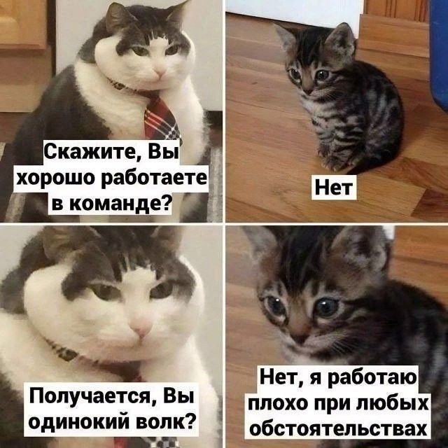 кажите Вы хорошо работаетеі команде Ё Нет я работаю плохо при любых обстоятельствах Получается Вы одинокий волк