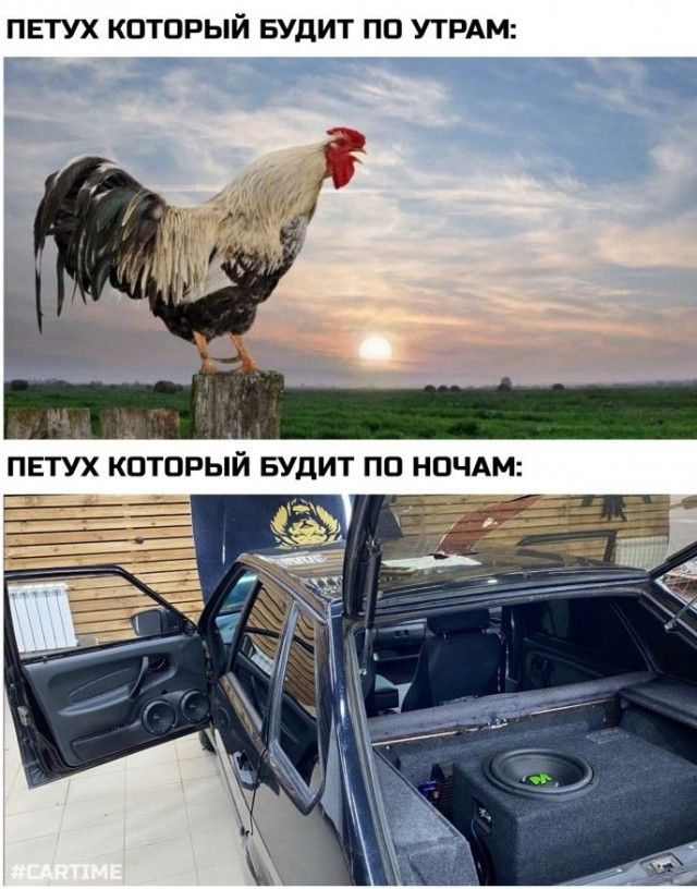 ПЕТУХ КОТОРЫЙ БУДИТ ПП УТРАМ _