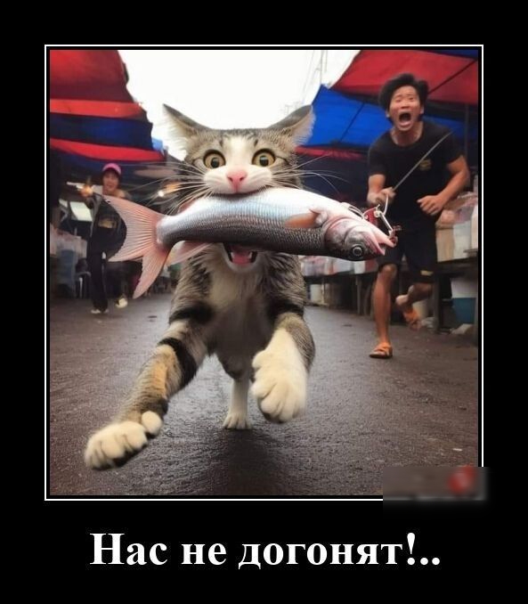 Нас не догонят