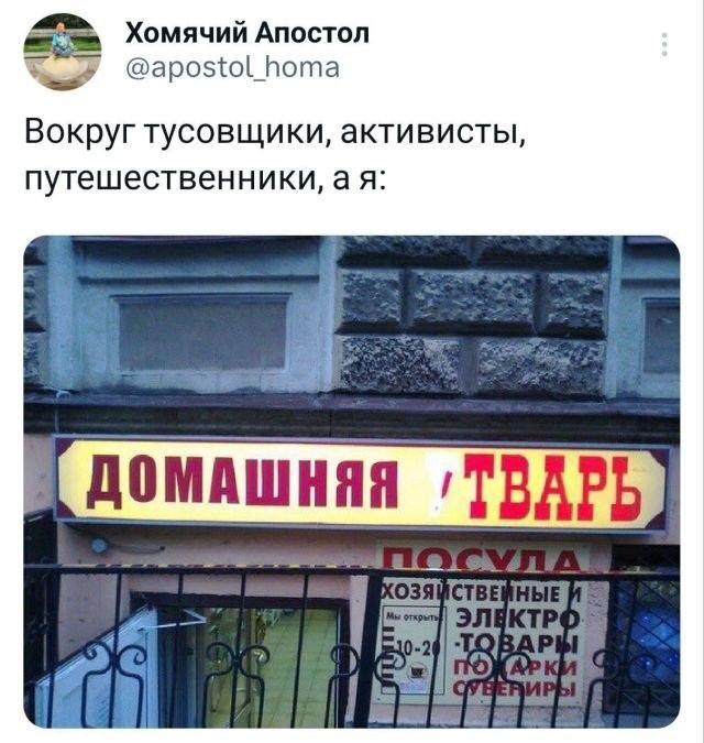 Хамячий Апостол _ дроэюднота Вокруг тусовщики активисты путешественники а я 1