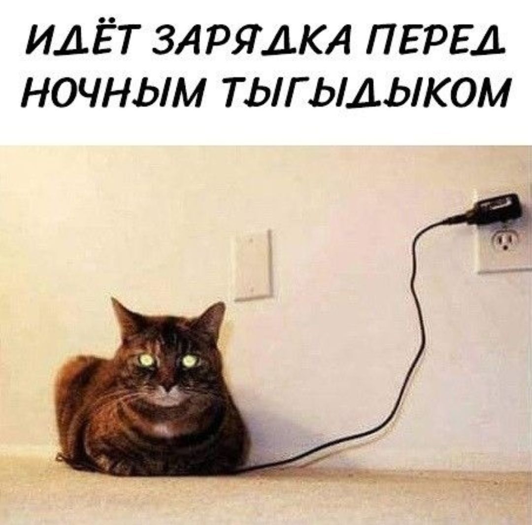 ИАЁТ ЗАРЯАКА ПЕРЕД НОЧНЫМ ТЫГЫДЫКОМ