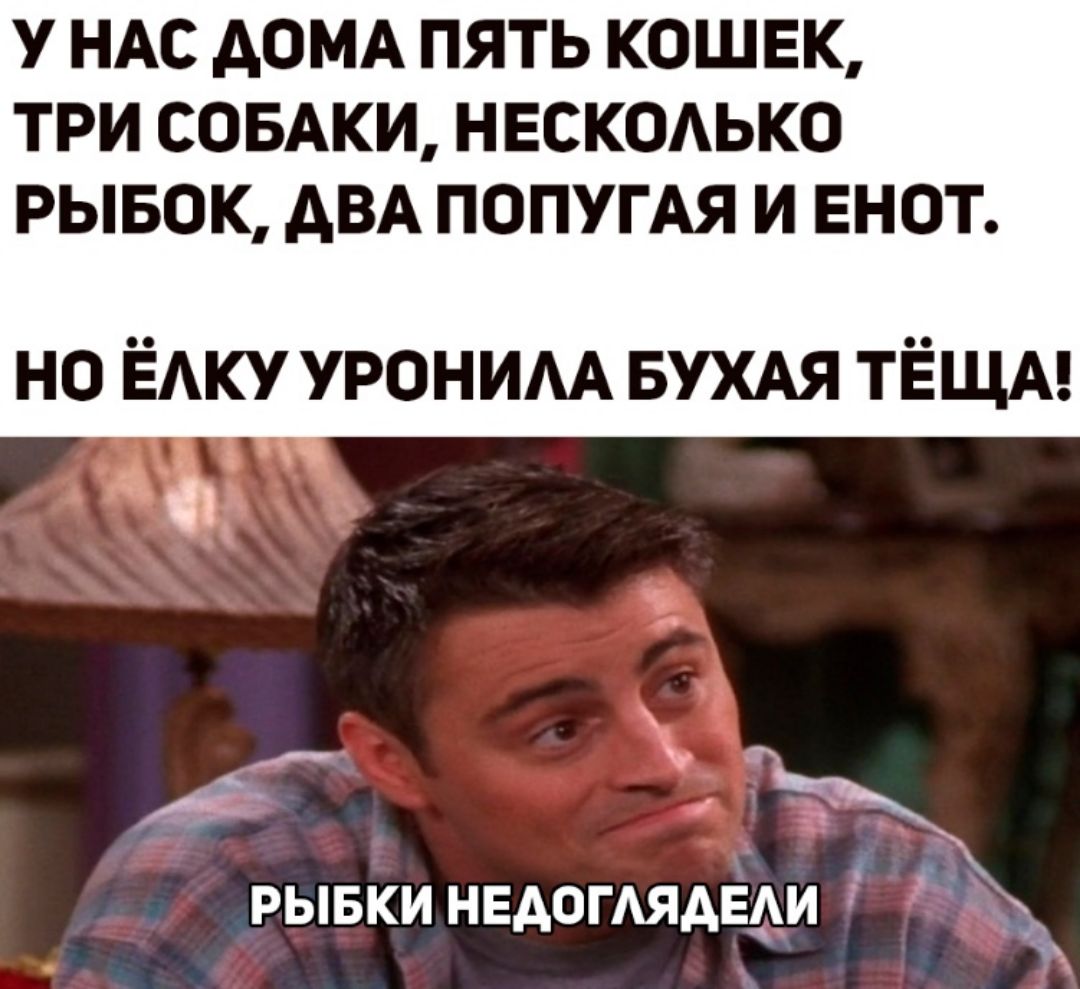 у НАС АОМА ПЯТЬ КОШЕК ТРИ СОБАКИ НЕСКОАЬКО РЫБОК АВА ПОПУГАЯ И ЕНОТ но ЁАКУ уроним БУХАЯ ТЁЩА рывкинвдомядци