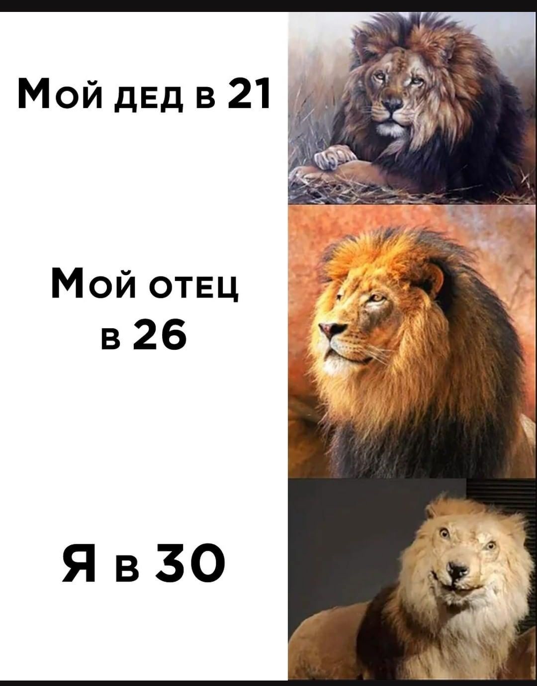 Мой дЕдв21 ЗХ Мой отвц в 26