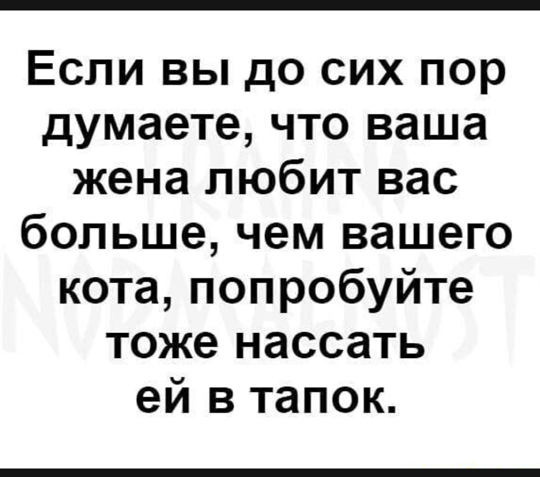Если вы до сих пор думаете что ваша жена любит вас больше чем вашего кота попробуйте тоже нассать ей в тапок