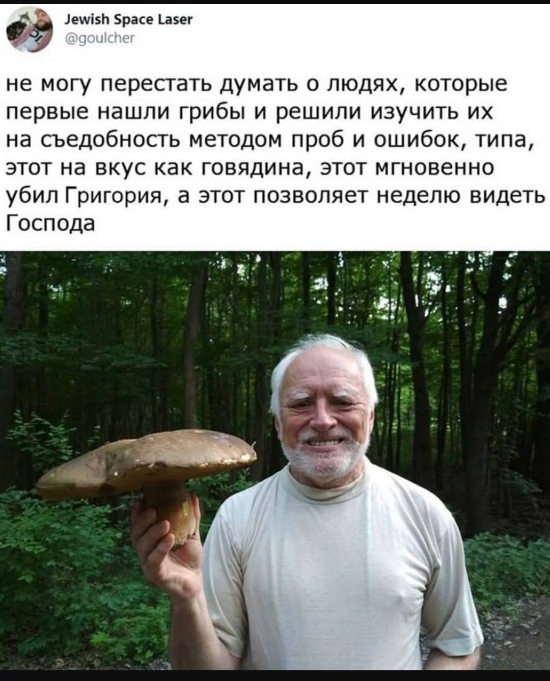 лини Ерш и не могу перестать думать о людях которые первые нашли грибы и решили изучить их на сьедобность методом проб и ошибок типа этот на вкус как говядина этот мгновенно убип Григория в этот позволяет неделю видеть Господа