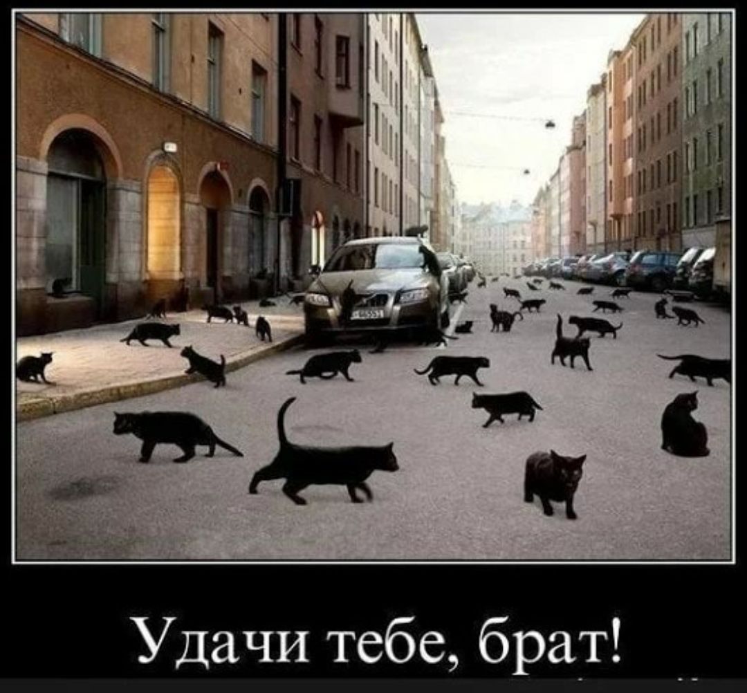 Удачи тебе брат