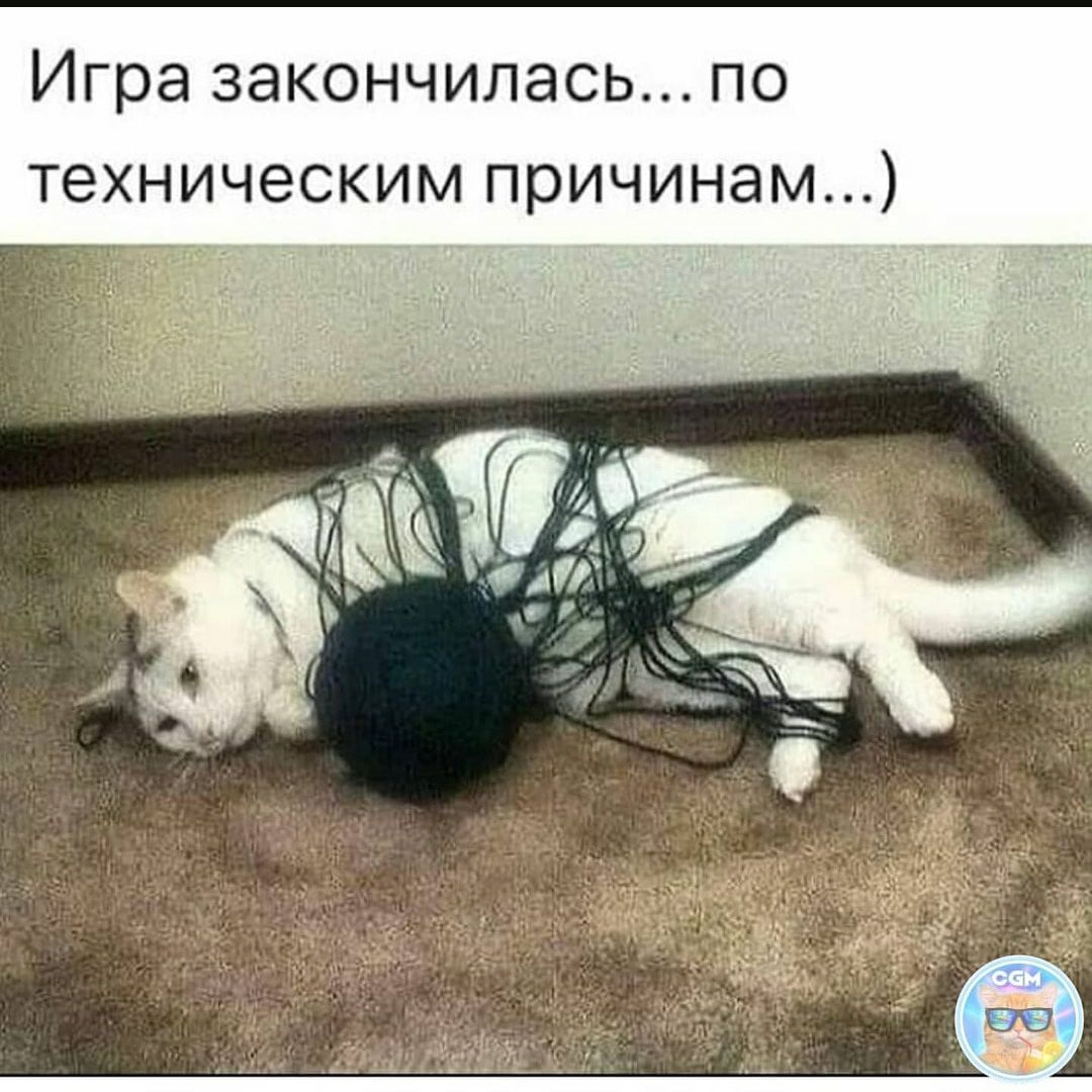 Игра закончилась по техническим причинам