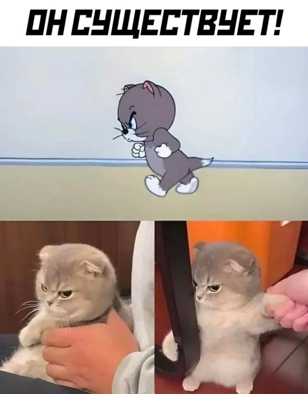 ПН ЕНЩЕЕ ТВНЕ Т