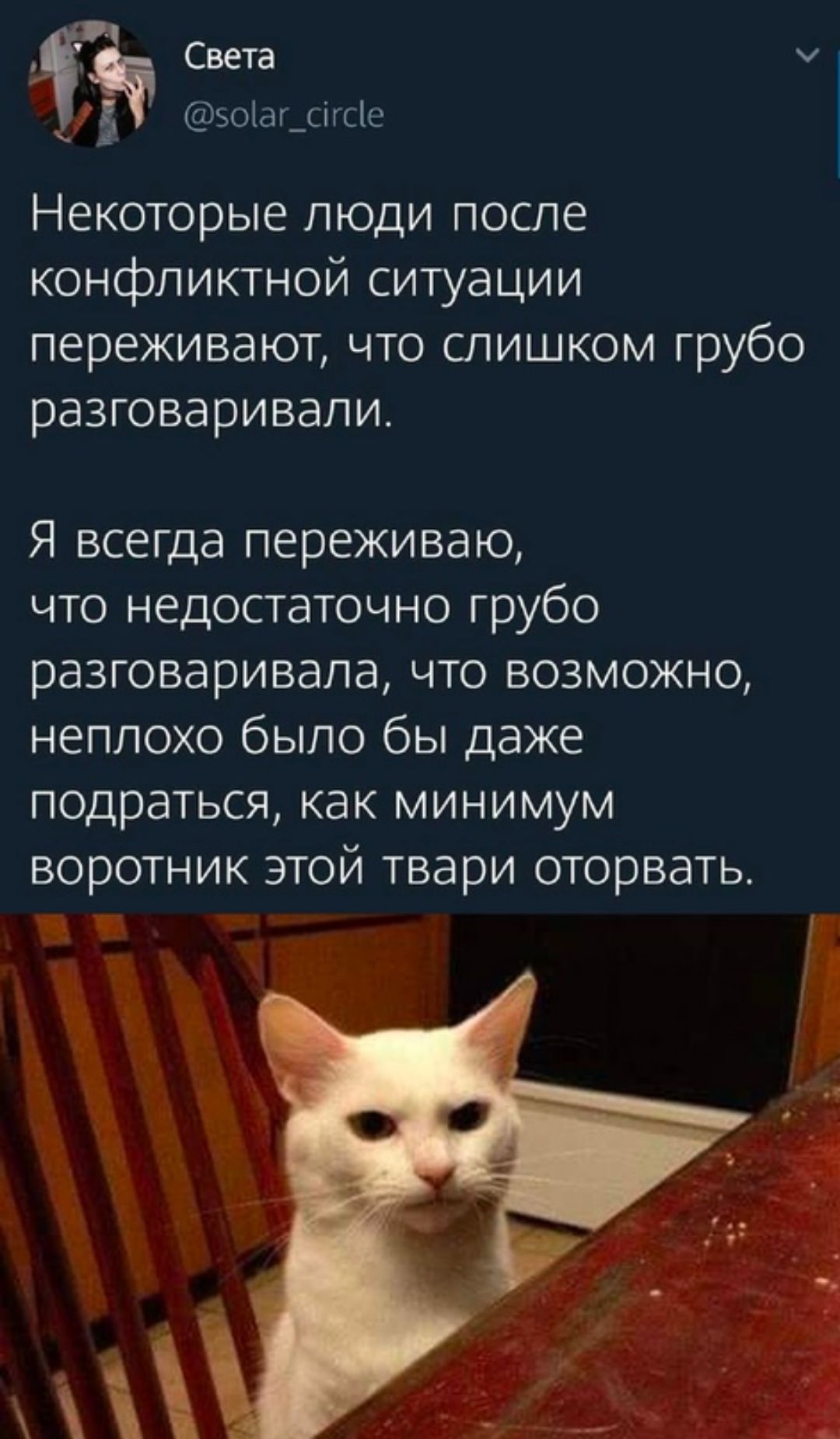 Света ъоіаг_шсіе Некоторые люди после конфликтной ситуации переживают что слишком грубо разговаривали Я всегда переживаю что недостаточно грубо разговаривала что возможно неплохо было бы даже подраться как минимум воротник этой твари оторвать