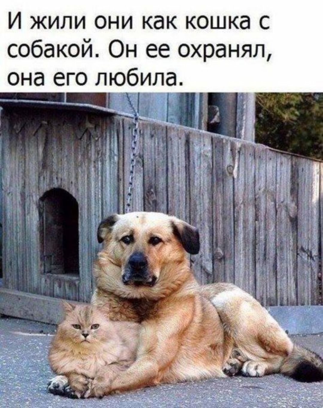 сл ая ЦН щр кш Т КЕ инб НОЮ 0Йл 0Ю Иже жфю ИСО