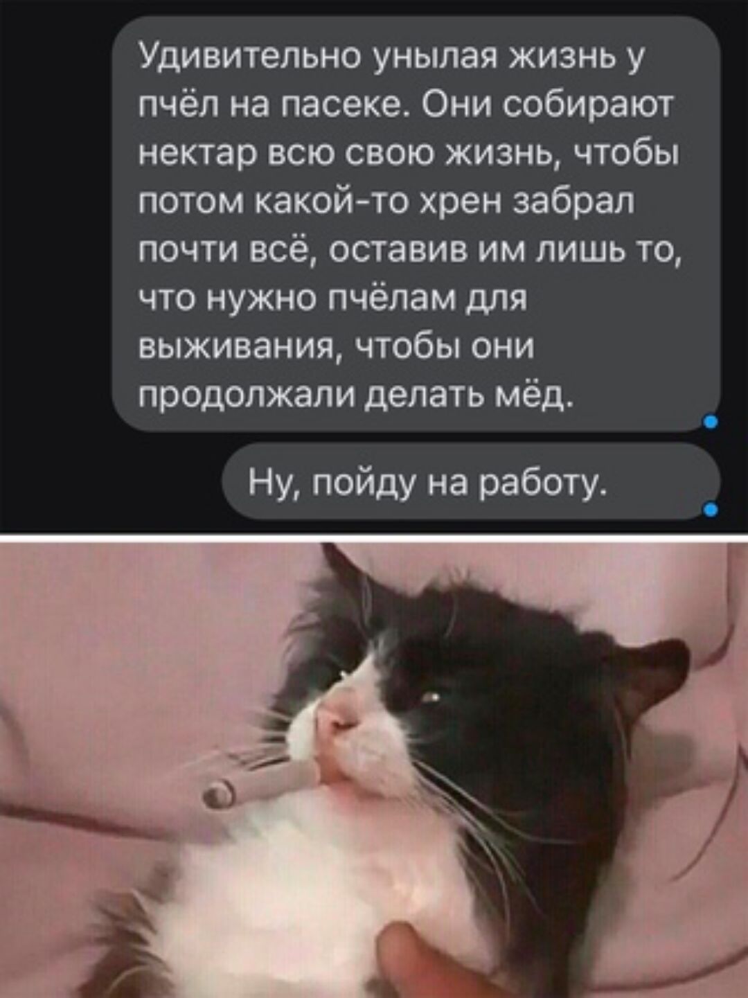 УДИВИТШЬНО унылая ЖИЗНЬ у пчёл на пасеке Они собирают нектар всю свою жизнь чтобы потом какой то хрен забрал почти всё оставив им лишь то что нужно пчёлам для выживания чтобы они продолжали делать мёд Ну пойду на работу