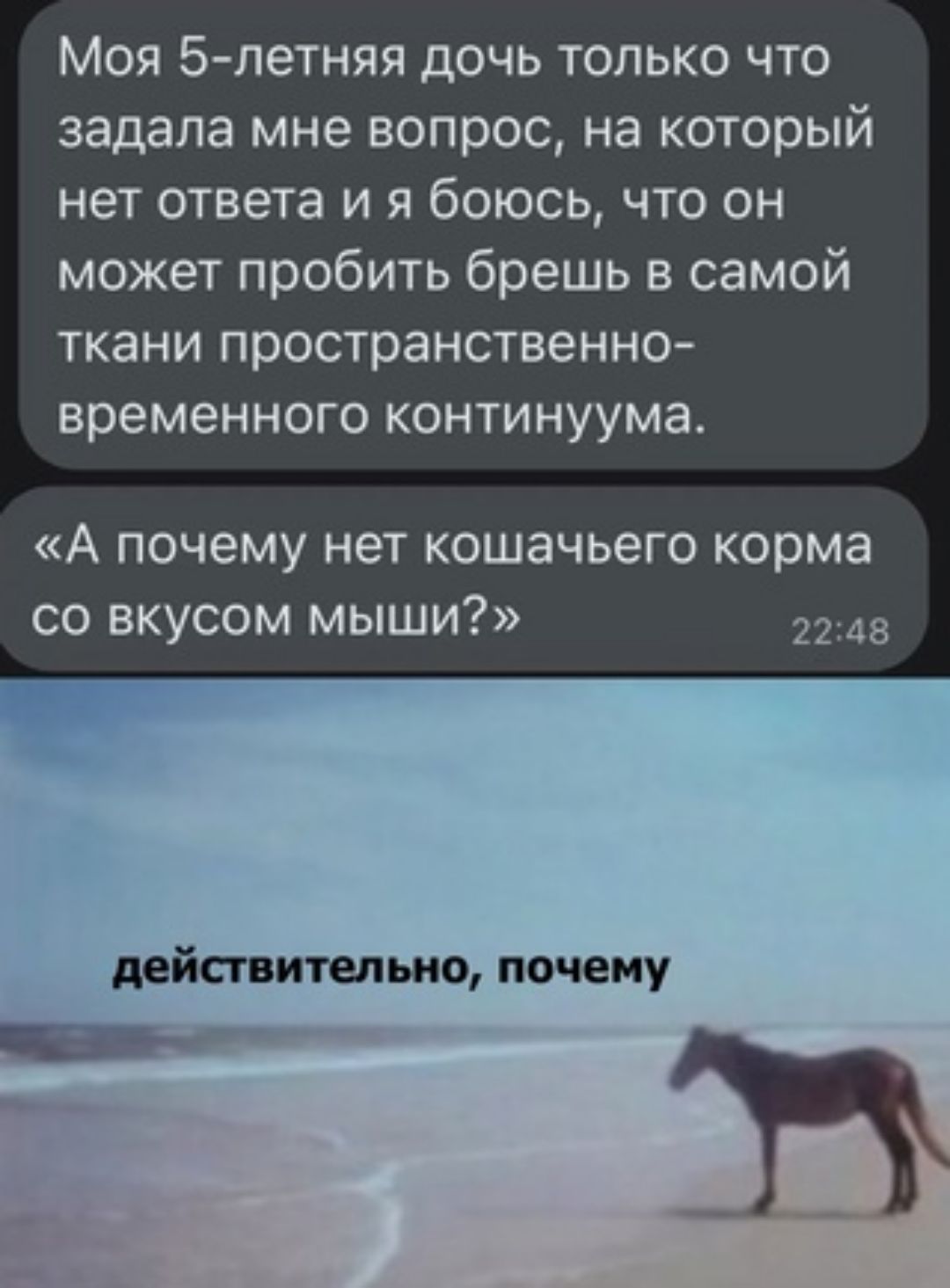 Моя 5 летняя дочь только что задала мне вопрос на который нет ответа и я боюсь что он может пробить брешь в самой ткани пространственно временно континуума А почему нет кошачьего корма со вкусом мыши действитыьио почему _ Е