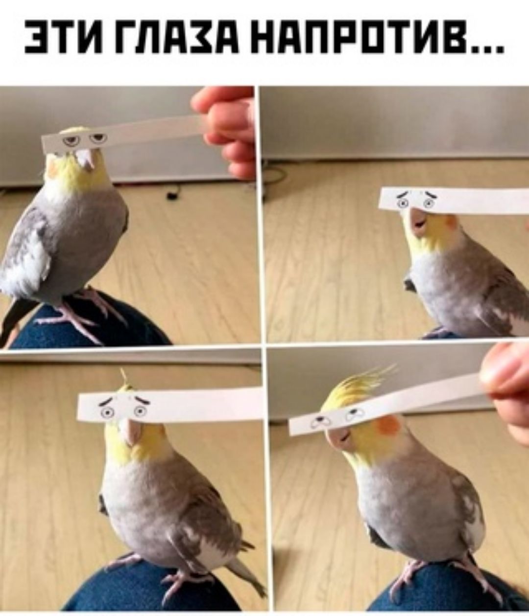 ЭТИ ГППЗП НППРПТИВ