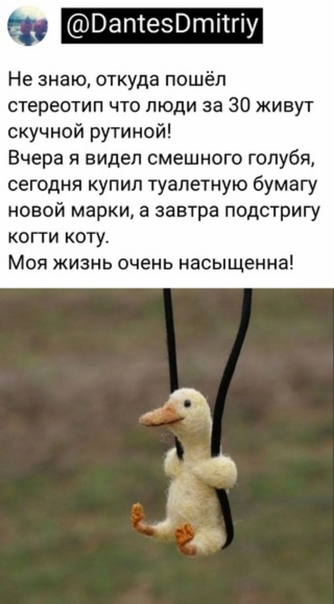 а ВапіезОтптпу Не знаю откуда пошёл стереотип что люди за 30 живут скучной рутиной Вчера я видел смешного голубя сегодня купил туалетную бумагу новой марки а завтра подстригу когги коту Моя жизнь очень насыщенна