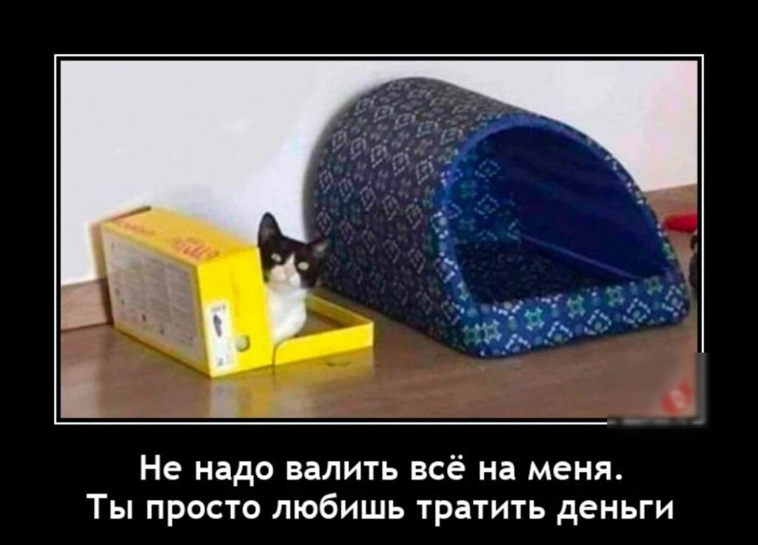 Не надо валить всё на меня Ты просто любишь тратить деньги