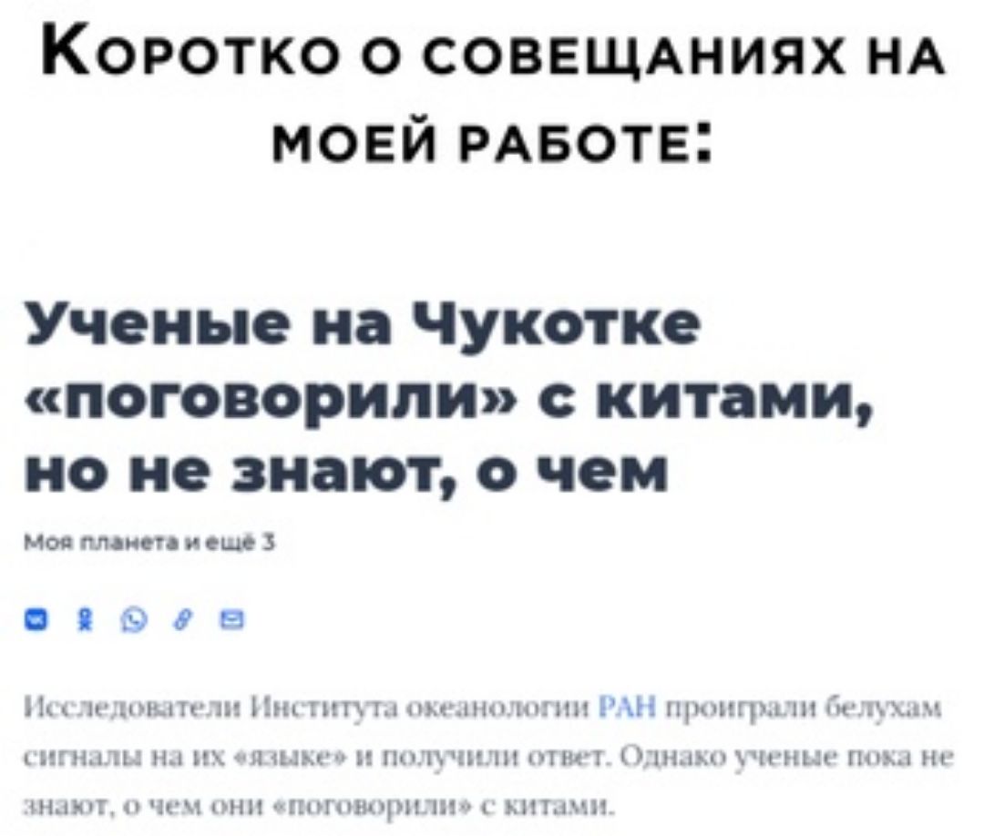 Коротко о СОВЕЩАНИЯХ НА моей РАБОТЕ Ученые на Чукотке поговорили хитами но не знают о чем