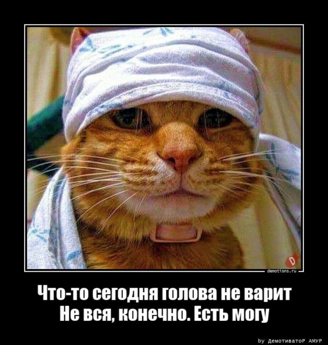Чтв тп БЕШДИП ПШОВП ПЗПИТ 0 ВВП конечно Есть ММУ