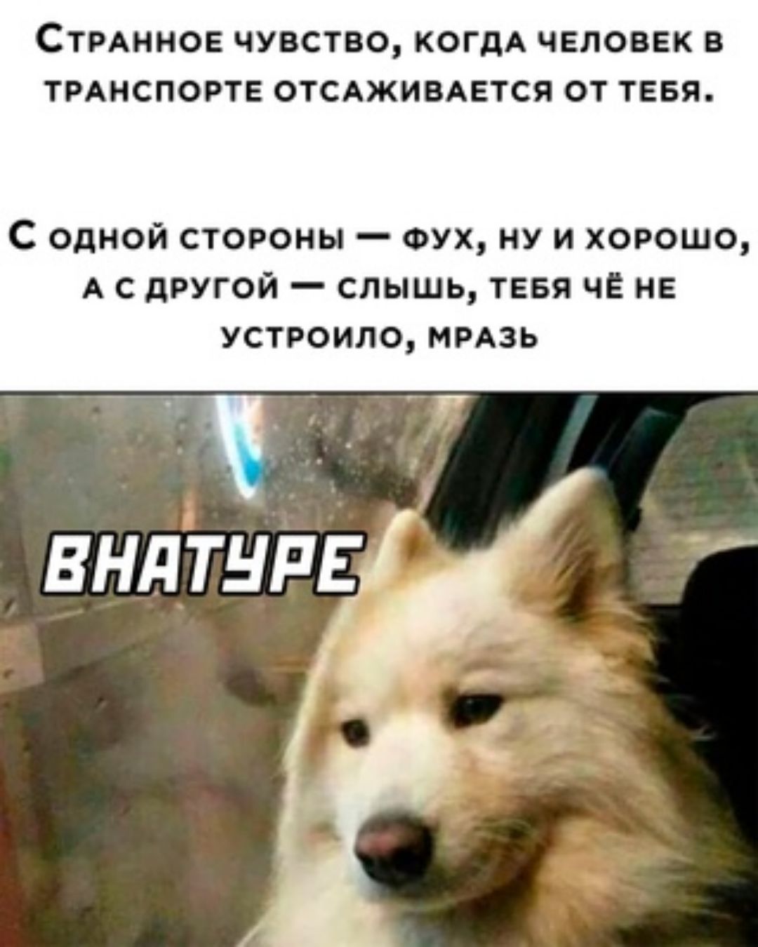 СТРАННОЕ ЧУВСТЕО КОГДА ЧЕЛОВЕК В ТРАНСПОРТЕ ОТСАЖИВАЕТСЯ ОТ ТЕБЯ С одной стороны оух ну и хорошо А с другой слышь ТЕБЯ че не устроило ммзь
