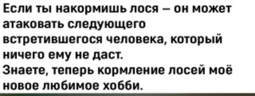 ЕСЛИ ТЫ ЗКОРМИШЬ ПОСП О МОЖЕТ атаковать следующего ВСТРОУИВШОГОСЯ ЧОПОВБКЗ КОТОРЫЙ ничего ему не даст Знаете теперь кормление лосей моё новое любимое хобби