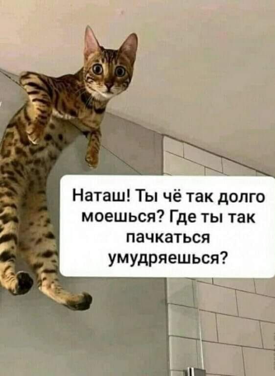 Наташ Ты чё так долго моешься Где ты так пачкаться умудряешься