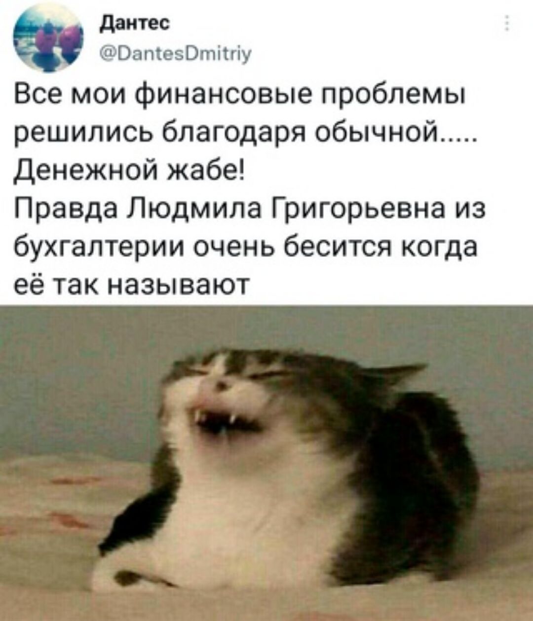 ддитес ч этт эти Все мои финансовые проблемы решились благодаря обычной денежной жабе Правда Людмила Григорьевна из бухгалтерии очень бесится когда её так называют