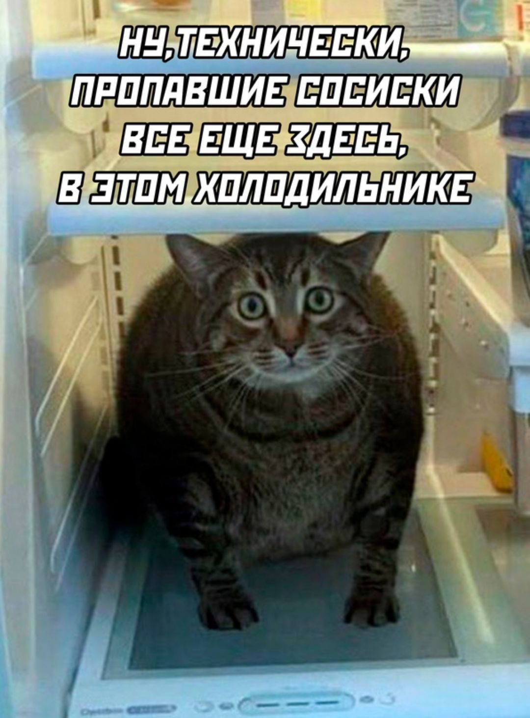 ПРППДВШИЕ ЕПЕИЕКИ В ЗТПМ ХПЛПДИЛЬНИКЕ 1