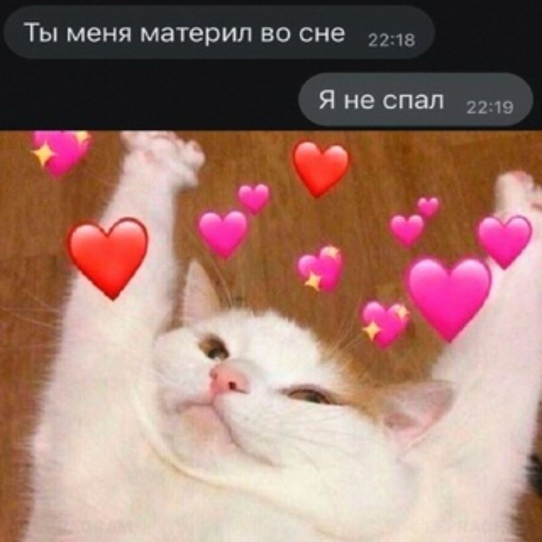 Ты меня материл во сне Я не спал
