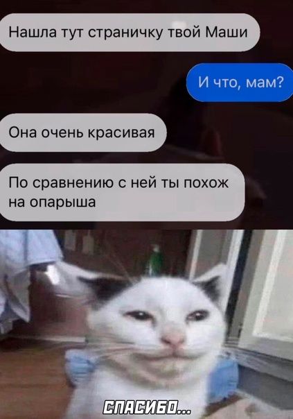 Нашла тут страничку твой Маши Она очень красивая По сравнению с ней ты похож на опарыша И что мам7