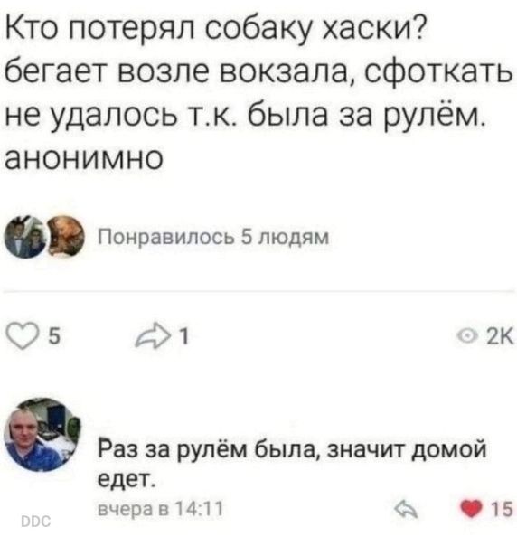 Кто потерял собаку хаски бегает возле вокзала сфоткать не удалось тк была за рулём анонимно Понравилось 5 людям 95 А1 гк Раз за рулём была значит домой едет вчерагПАП 15