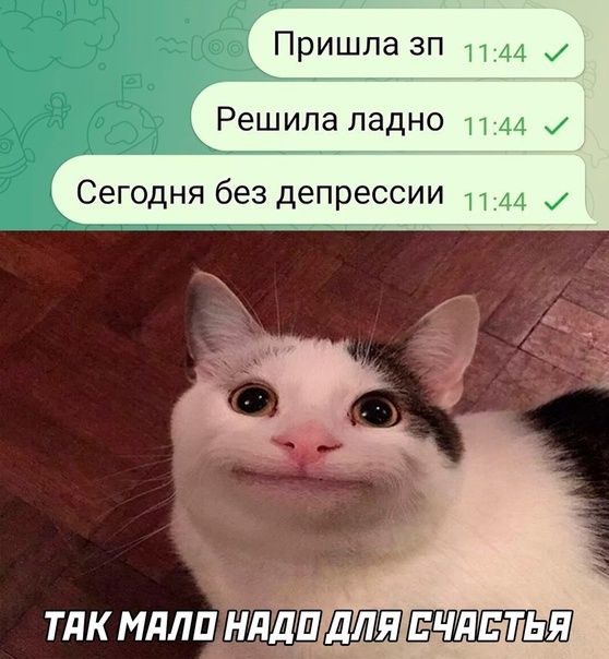 Пришла зп Решила ладно 44 и Сегодня без депрессии ТдК МдЛП ЛПШШПЕЧДЬТЬЯ