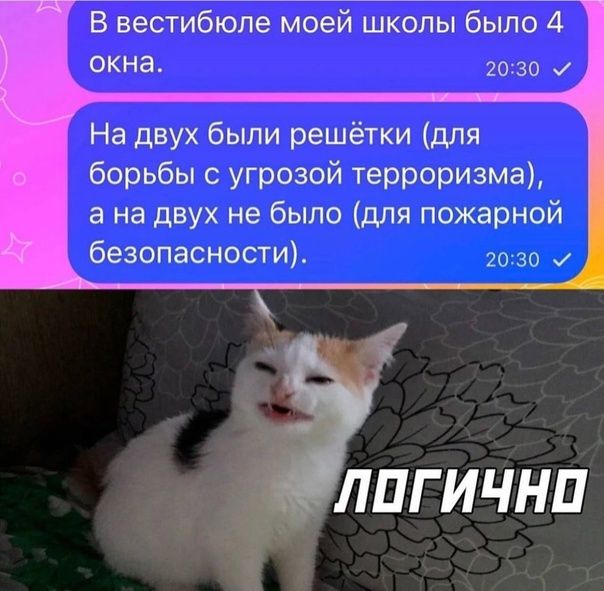 В вестибюле моей школы было 4 окна 2030 и На двух были решётки для борьбы с угрозой терроризма а на двух не было для пожарной безопасности 2030 ЛПГИЧНП