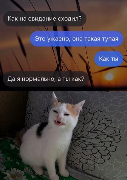 Как на свидание сходил Да я нормально а ты как