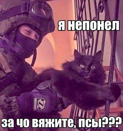 П 4 за по вяжите псьпэдд