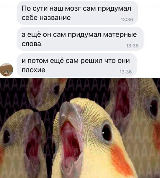 По сути наш мозг сам придумал себе название а ещё он сам придумал матерные слова и потом ещё сам решил что они плохие