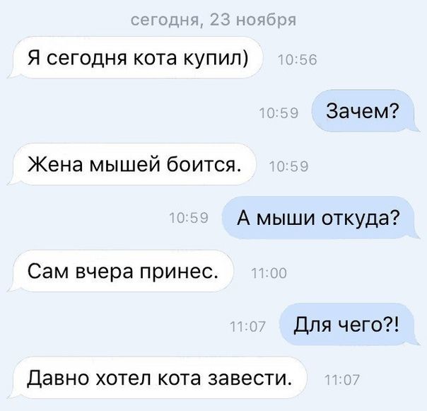 Я сегодня кота купил Зачем Жена мышей боится А мыши откуда Сам вчера принес Для чего Давно хотел КОТЗ ЗЗВЕСТИ