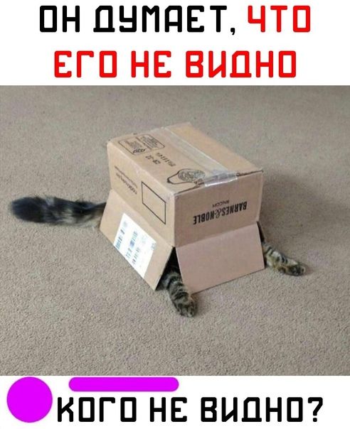 ПН ПНППЕТ ЧТП ЕГП НЕ ВЦПНП КПГП НЕ ВНПНП