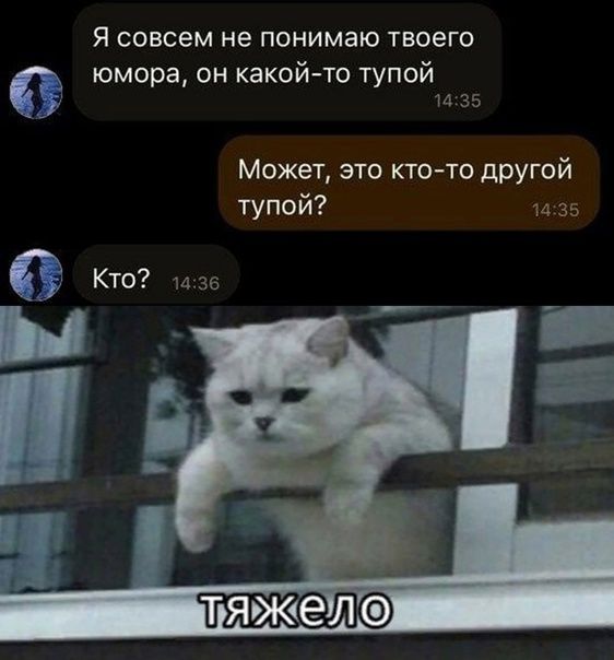 Я совсем не понимаю твоего юмора он какой то тупой 1475 Может это ктоТО другой тупой и 35 ТЯЖЭЛ