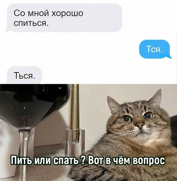 Со мной хорошо спиться Ться Пить или спать Вот в чем вопрос