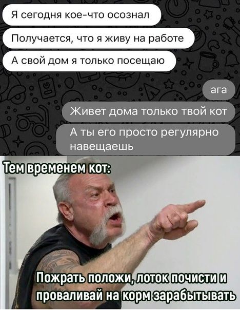 Я сегодня коейчто осознал Получается что я живу на работе А свой Дом 5 только посещаю ага Живет дома только твой кот А ты его просто регулярно навещаешь провалйвай на корм зарабытывать