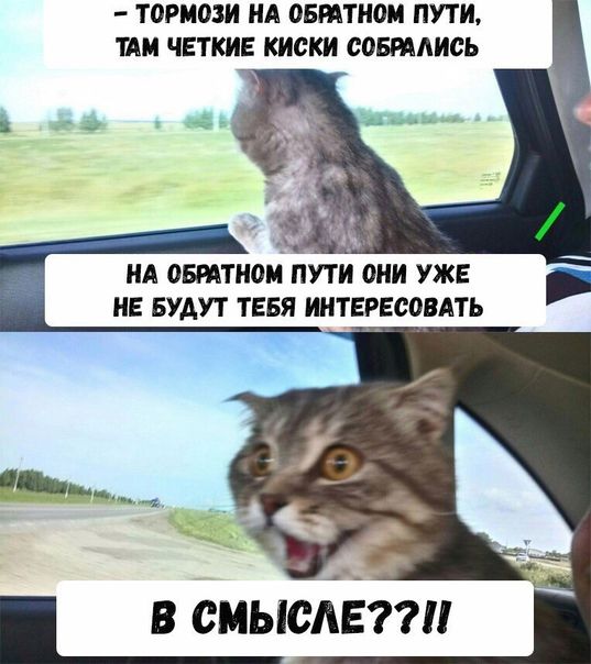 ТОРИОЗИ НА ОБПТШЖ ПУТИ ти ЧЕТКИЕ киски сошлись НА 05ПТН0И ПУТИ они УЖЕ НЕ БУДУТ ТЕБЯ интересовдть в синий