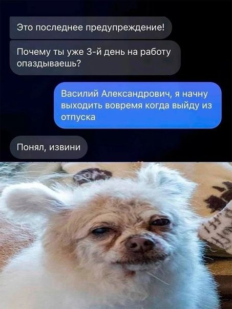 Это последнее предупреждение Почему ты уже 3 й день на работу опаздываешь Василий Александрович я начну выходить вовремя когда выйду из о туска Понял извини