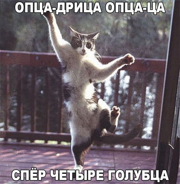 ЩА опнА ОПЦА дРИЧёЭЁ