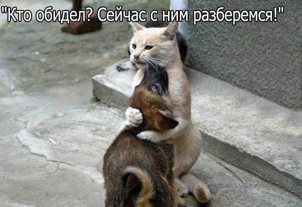 асС ниЁт рёзберемся