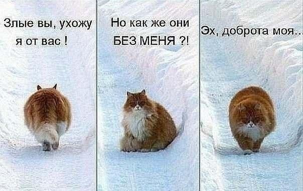 Злые вы ухожу Но как же они Эх доброта моя я от вас БЕЗ МЕНЯ