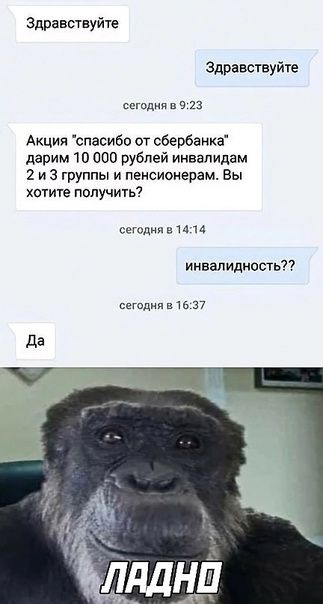 Здравствуйте Здравствуйте сегодня в 9 23 Акция спасибо от сбербанка дарим 10 000 рублей инвалидам 2 и 3 группы и пенсионерам Вы хотите получить сегодня в и м инвалидность сегсдияв 1637
